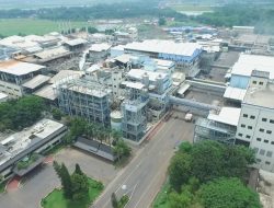 Naik Signifikan, Sepanjang 2022 REC PLN Mampu Suplai 1,7 Juta MWh Listrik Hijau