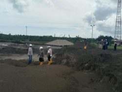 Kerja Sama PLN-IPB Manfaatkan Limbah Batu Bara untuk Jaga Kesuburan Tanah