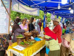 Kampoeng Reklamasi Selinsing  PT Timah Tbk Jadi Lokasi Bazar UMKM Gemawira Belitung Timur