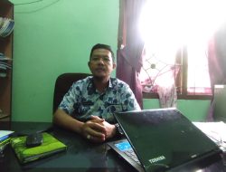 Kebutuhan Daging Sapi di Babar Capai 300 Ekor dan Didatangkan dari Luar Daerah