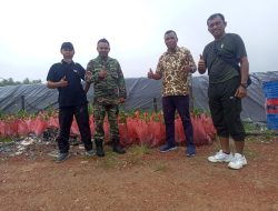 Kolaborasi dengan TNI,  PT Timah Tbk dan Kodim 0431 Bangka Barat Bakal Tanam Mangrove di Pesisir Pantai Cupat