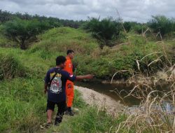 Tim SAR Hentikan Sementara Pencarian Bocah Hafiza yang Hilang di Perkebunan Sawit Desa Terentang