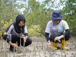 Gerakan Menanam Satu Kebaikan, PT Timah Tbk Tanam Mangrove dan Sukun di Pantai Serdang