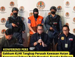 Gakkum LHK Tangkap Perusak Kawasan Hutan Konservasi Tahura Bukit Mangkol