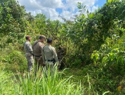Tim Gabungan Tertibkan Tambang Ilegal di Lahan Milik Pemkab Bangka