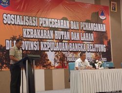 Antisipasi El Nino, BPBD Gencarkan Edukasi Cegah Karhutla