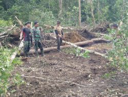 Anggota TNI dan Masyarakat Gotong Royong Jelang Pembukaan TMMD di Kelapa