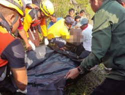 Diterkam Buaya, Ribuan Ditemukan Meninggal Dunia