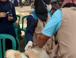 Basel Masih Nihil Kasus Rabies Hewan Peliharaan
