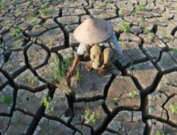 Minimalisir Dampak Fenomena El Nino, BPBD Bangka Bentuk Tim Khusus