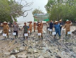 Peringati Hari Lingkungan Hidup dan Mangrove Sedunia, Pemkab Basel dan PT Timah Tanam 2.000 Bibit Mangrove