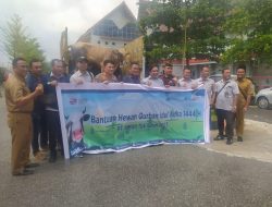 Jelang Iduladha 1444 H, Pemkab Basel Terima Bantuan 83 Sapi dari 36 Perusahaan