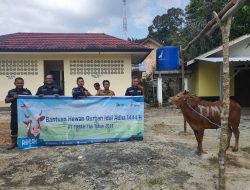PT Timah Tbk Salurkan Bantuan Hewan Kurban di Pulau Belitung