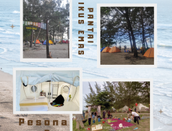 Camping Jadi Alternatif Isi Masa Liburan, Pesona Bay dan Tikus Emas Wajib Didatangi
