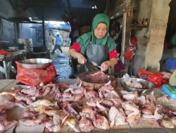 Daging Ayam Ras jadi Pemicu Inflasi di Babel