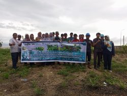 Kolaborasi dengan Kelompok Masyarakat, PT Timah Tbk Kembali Tanam Mangrove di Pesisir Pantai Teluk Rubiah Bangka Barat
