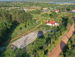 Konsisten Laksanakan Reklamasi, Semester Satu 2023 PT Timah Tbk Reklamasi 203,6 Hektar Lahan pasca-Tambang