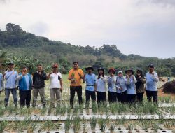 Petani Dusun Nadi Panen 2 Ton Bawang Merah