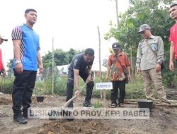 Penanaman Pohon Alpukat di Desa Kacung, Bentuk Simbolis Ketahanan Pangan