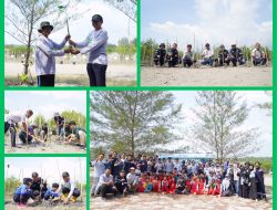 Peringati Hari Mangrove Sedunia, PT Timah Tbk Tanam 5000 Mangrove di Pantai Menuang