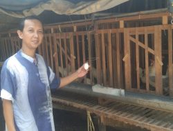 Jadi Mitra Binaan PT Timah Tbk, Erwin Bisa Pertahankan Usaha Keluarga