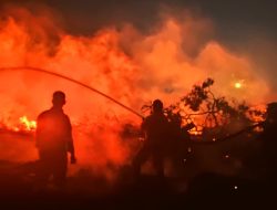 Tim Damkar PT Timah Tbk Sigap Bantu Padamkan Kebakaran Lahan Warga di Kelurahan Romodong