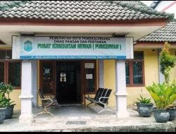 Anabul Kesayangan Sakit, Puskeswan Pangkalpinang Siap Berikan Pengobatan