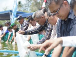 Dorong Pengembangan Potensi Desa Penghasil Udang Vaname, PLN Dukung Desa Berdaya Tanjung Rusa