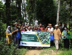 Matching Fund Kedaireka Jadikan Desa Sungkap Kampung Ekowisata Aren di Babel