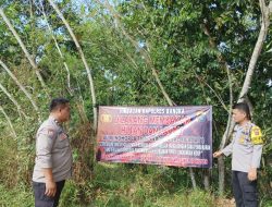 Awas! Sengaja Bakar Hutan Bisa Dipenjara 10 Tahun dan Denda Rp10 Miliar