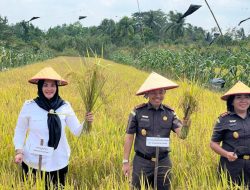 Kajati Babel Minta Pemerintah Perhatikan Sarpras Sawah di Desa Rias