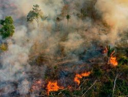 Cegah Kebakaran BPBD Ingatkan Masyarakat Jangan Bakar Sampah Sembarangan