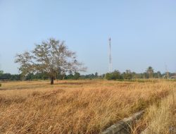 Awal November Diprediksi Turun Hujan, Kekeringan Masih Jadi Ancaman