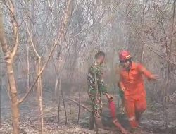 Lahan 5 Hektar di Desa Serdang Terbakar, Babinsa dan Damkar Basel Berjibaku Padamkan Api  