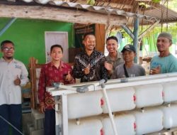 UBB Dorong Penggemukan Kepiting Bakau di Pantai Takari
