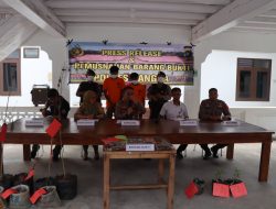 Tanaman Ganja Dimusnahkan, Tiga Diantaranya Masih Hidup