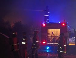 PT Timah Tbk Kerahkan Tim Damkar Bantu Tanggulangi Kebakaran Lahan Gambut di Kota Pangkalpinang