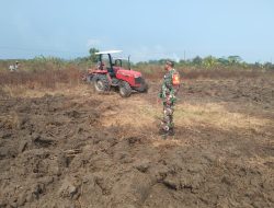 Dukung Ketahanan Pangan, Babinsa Desa Batu Betumpang Bantu Petani Olah Lahan Sawah