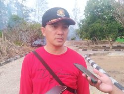 Sepanjang 2023, 483,2 Hektar Lahan di Basel Terbakar