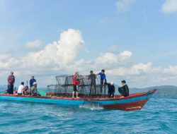 PT Timah Tbk Bersama Kelompok Nelayan Ridho Ilahi Bersatu Tenggelamkan Atraktor Cumi di Laut Rebo