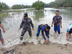 Polairud Polres Bangka Tanam Ratusan Mangrove di Muara Tengkorak