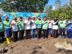 DLH Belitung Bersama PT Timah Tbk Tanam Pohon di Lahan Bekas Tambang Peringati Hari Menanam Pohon Indonesia