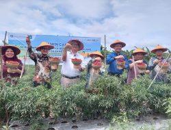 Wabup Bateng Sebut Pemerintah Dorong Produktivitas dan Pemasaran Cabai Merah
