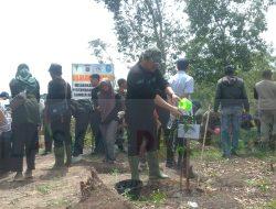 PWI Tanam Ratusan Pohon Kayu Putih di Dam 1 Pemali, Rudi: Usir Penambang dengan Cara Sopan