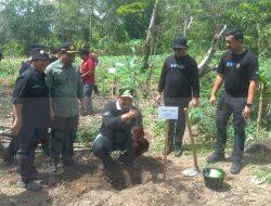 Tak Tanggung-Tanggung, PWI Babel Ditantang Tanam 1 Juta Pohon