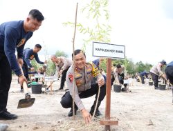 Polda Babel Tanam 2.000 Pohon Kayu Putih di Lahan Kritis Dekat Bandara Depati Amir
