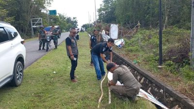 Kerahkan 625 Anggota, APK di Bangka Barat Mulai Dibersihkan