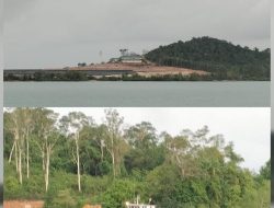 Kades Tanjung Labu Bantah Tambak Udang Milik Pengusaha Singapura Garap Lahan HL dan HP