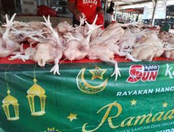 Harga Ayam Potong Broiler Tembus Rp40.000 per Kilogram