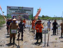 Ribuan Batang Mangrove Ditanam di Pantai Batu Tunggal